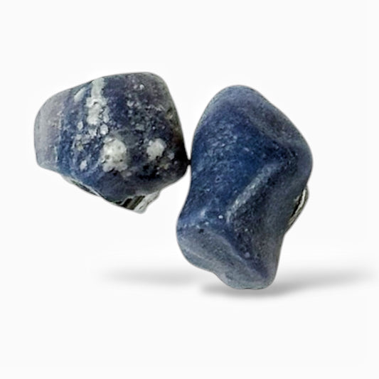 Leland Blue Stud Earrings