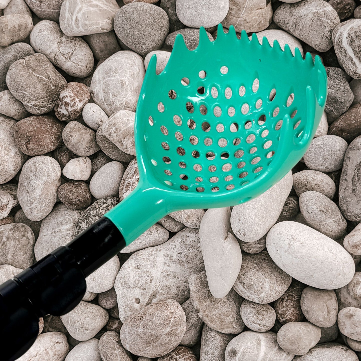 teal geo scoop rock scoop for rock hunting