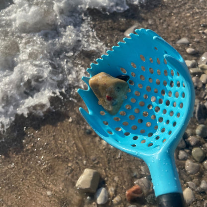 blue rock scoop for rock hunters with stone inside